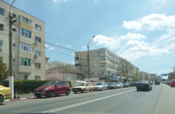 Reguli stricte pentru comerţul stradal, la Mangalia